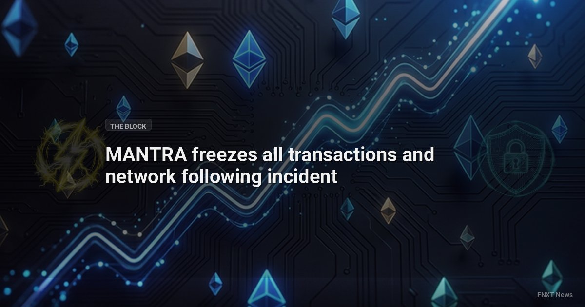 MANTRA freezes all transactions and network following incident